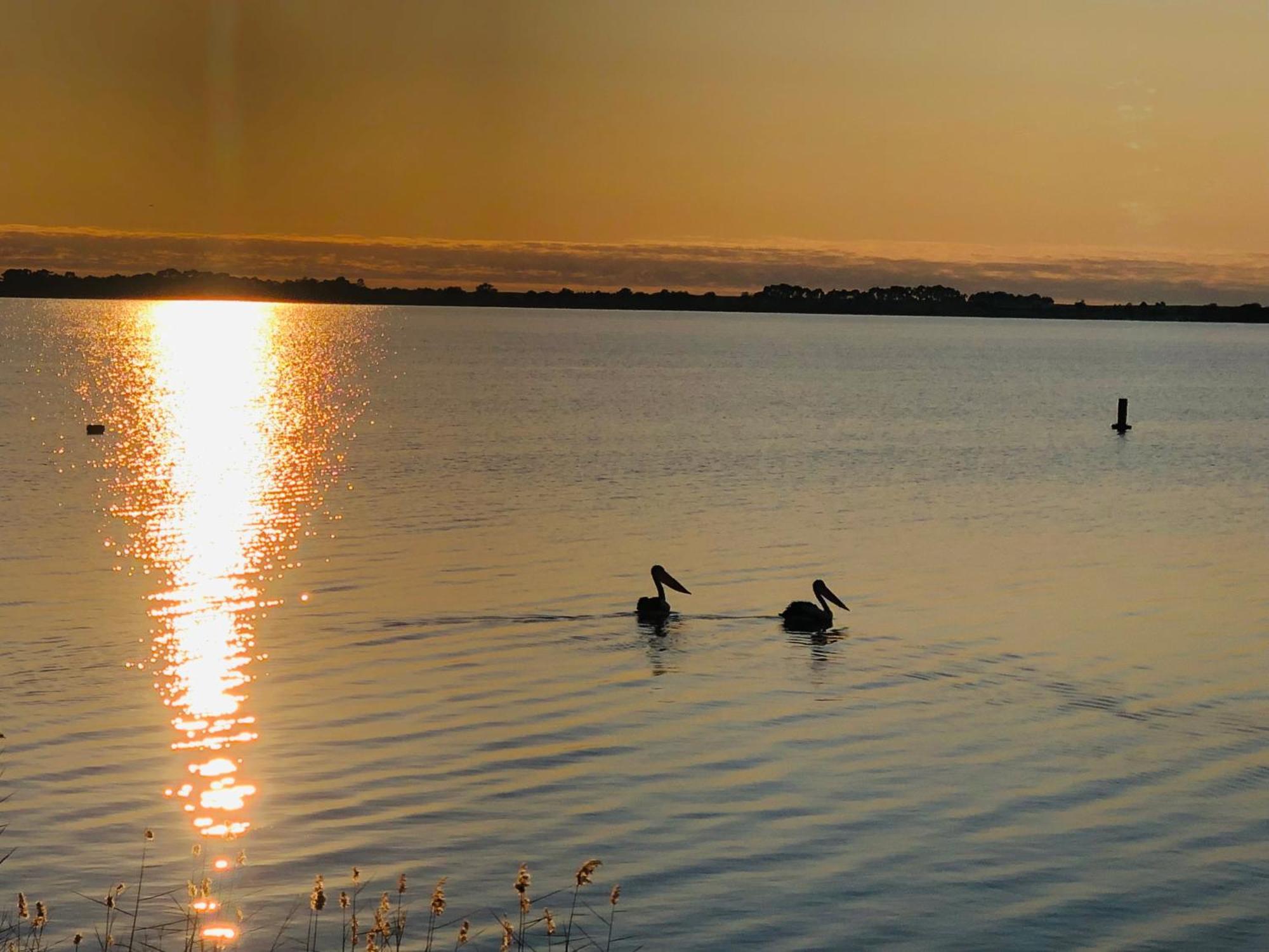 Lake Boga Caravan Park 外观 照片